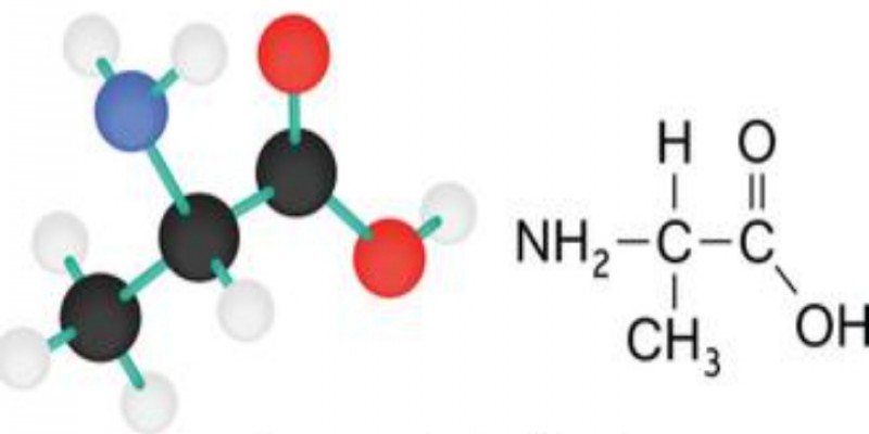 اسید آمینه و پروفیل اسید آمینه چیست؟