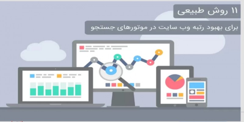 تشخیص  نتایج جستجو  ارگانیک یا طبیعی