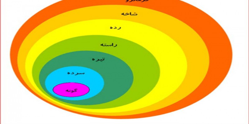 رده بندی گیاهان