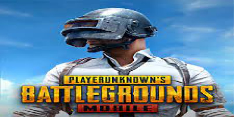 اسکین های بازی pubg